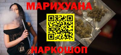 индика Лесосибирск