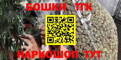 индика Лесосибирск