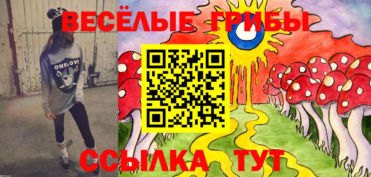 Тольятти  Псилоцибиновые грибы Psilocybe  закладка  Галлюциногенные грибы Cubensis  Вход с VPN 